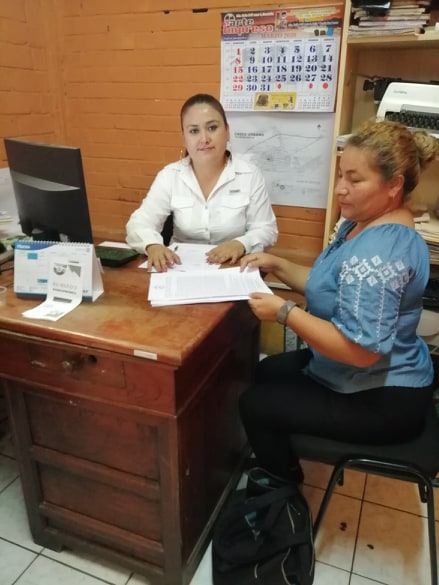 ASESORÍA TÉCNICA SOBRE PLATAFORMA COMUDE 2020, PALÍN E IZTAPA